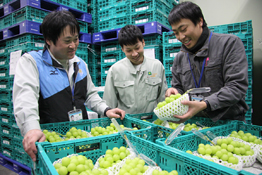 山形おきたま農業協同組合
