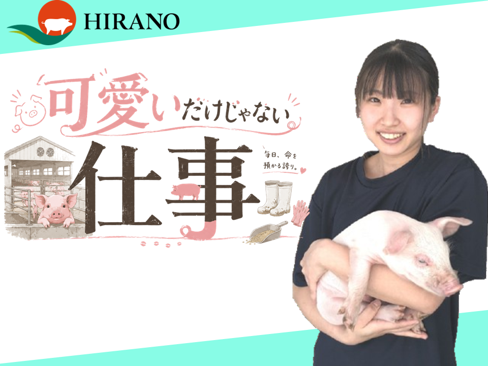 株式会社ヒラノ