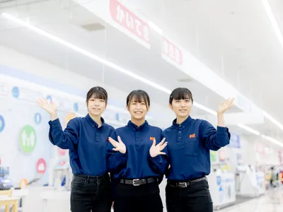 株式会社 ケーズホールディングス