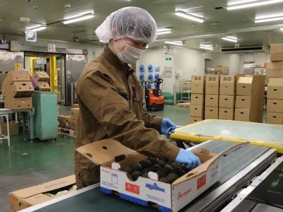 株式会社 ファーマインド大館センター