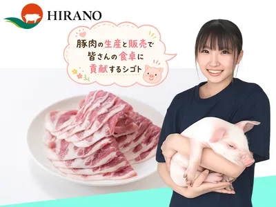 株式会社ヒラノ